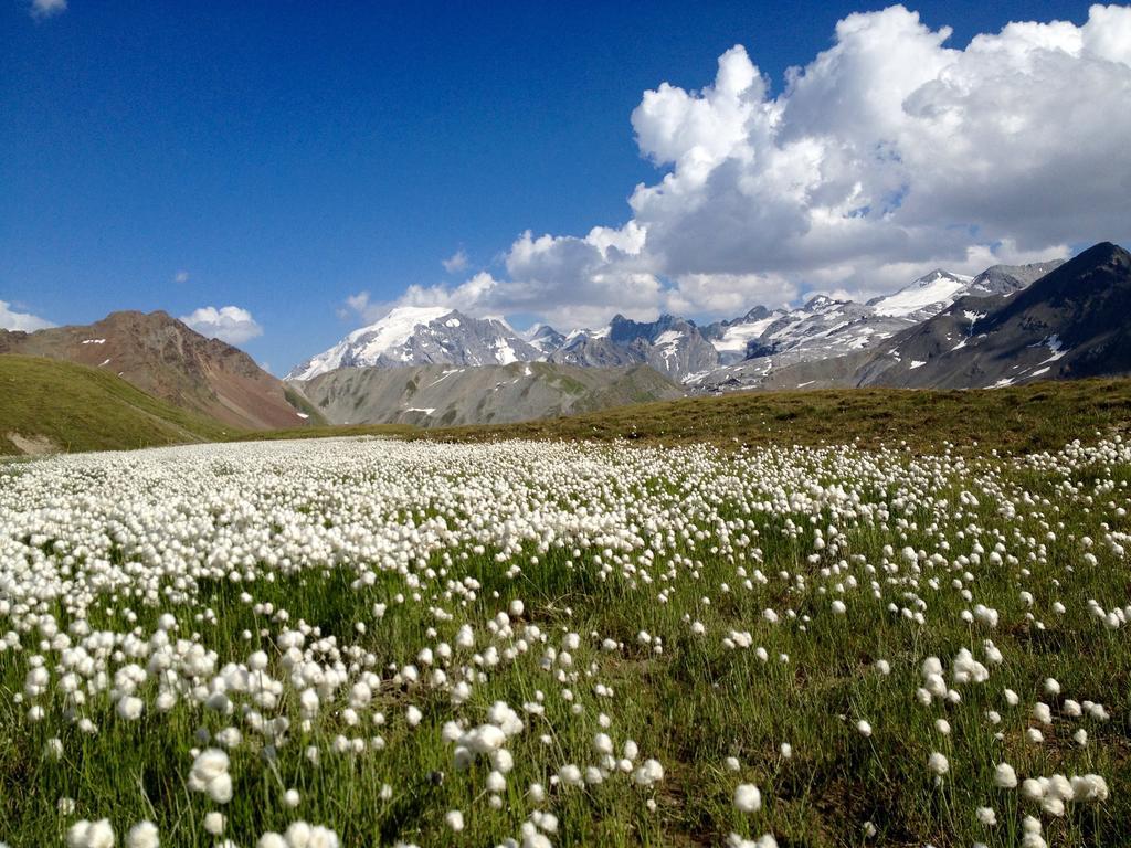Albergo Quarto Pirovano Passo Stelvio Εξωτερικό φωτογραφία